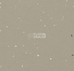 Линолеум Forbo SureStep Star 176772 cement фото 1 | FLOORDEALER